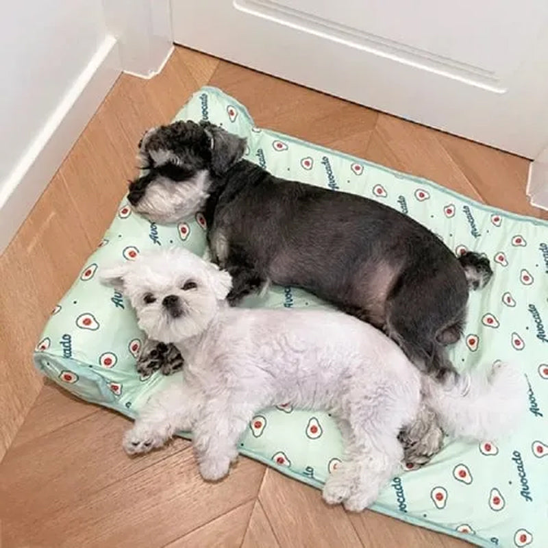 Hondenbed Puppy Bed Hondenkennel voor vier seizoenen, Zomer Cool Nest Hondenbed Puppy Bed Hondenkennel voor vier seizoenen, Zomer Cool Nest